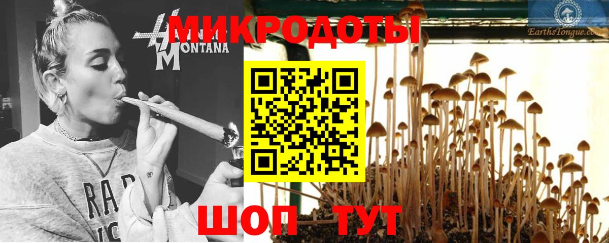 Псилоцибиновые грибы Cubensis Дагестанские Огни